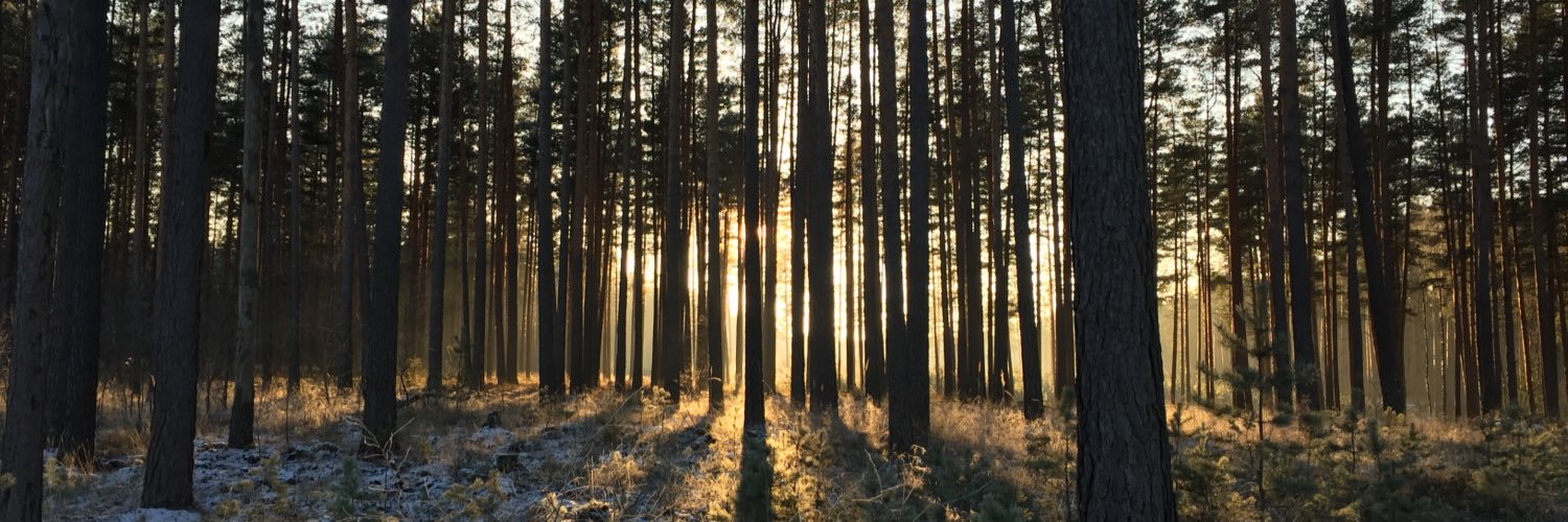 Antons Kranga banner