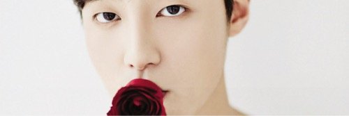 joycexcebo's profile banner image