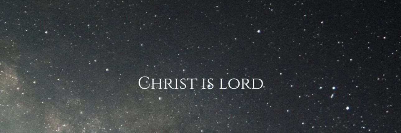 palmerbaseball6 🇺🇸 banner