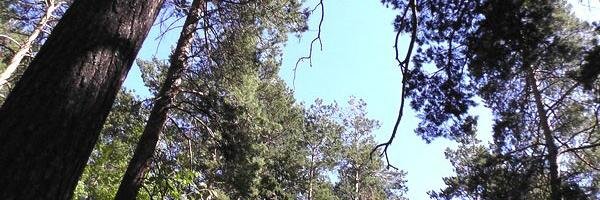 SargataE's profile banner image