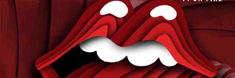stefankaz1's profile banner image