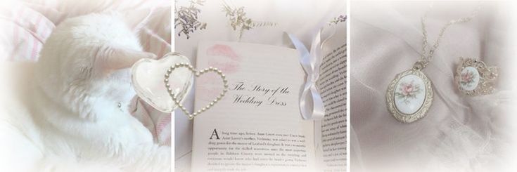 ฅ⁠^⁠•⁠ﻌ⁠•⁠^⁠ฅ banner