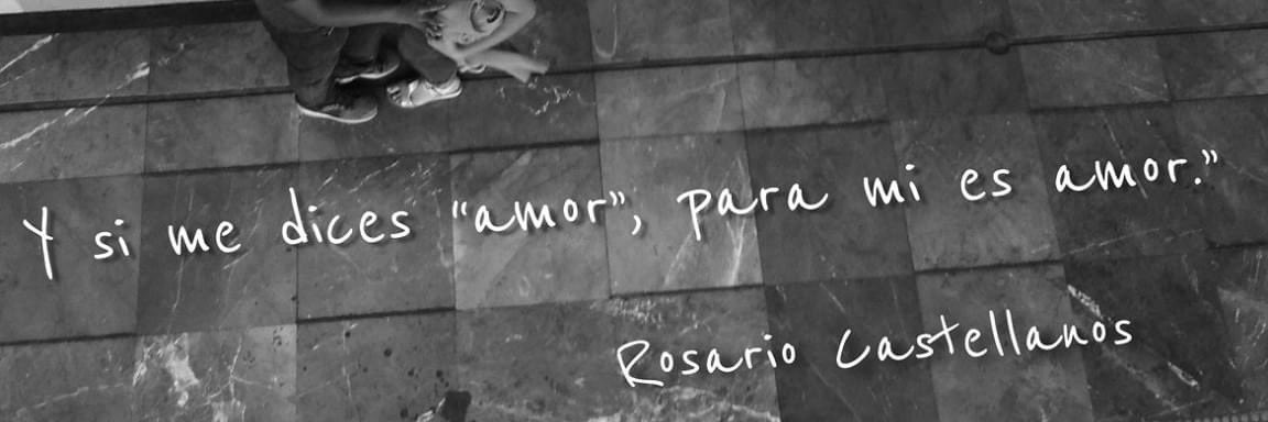 rousetaler's profile banner image