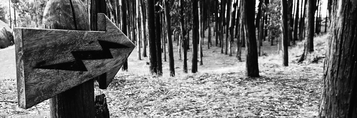María Blanco banner