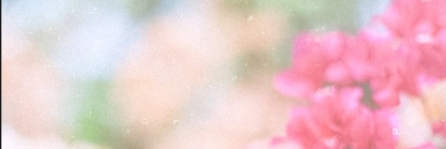Alnori_____'s profile banner image