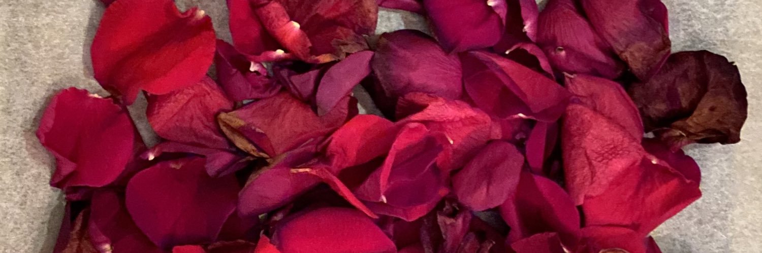 beccacamz's profile banner image