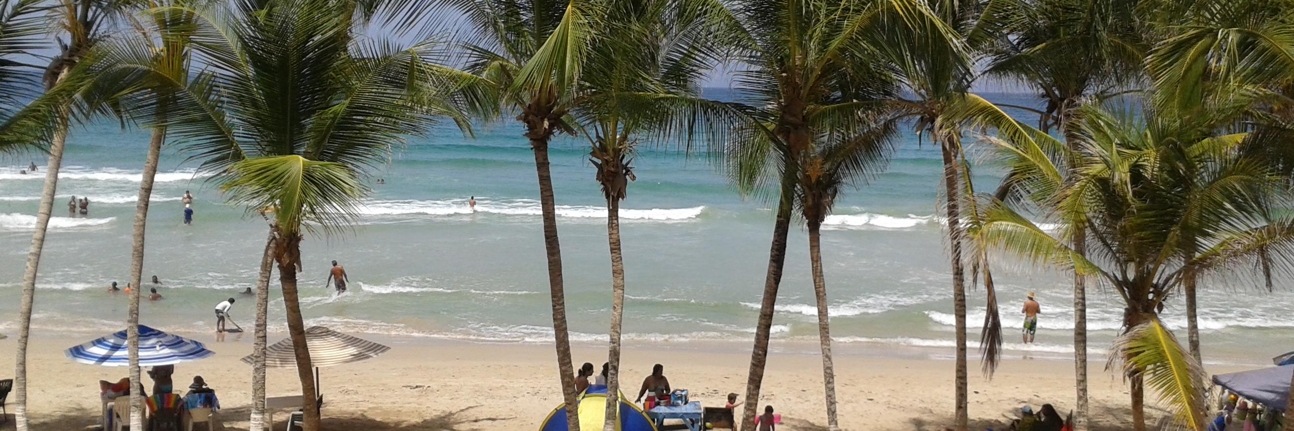 tanianayive's profile banner image