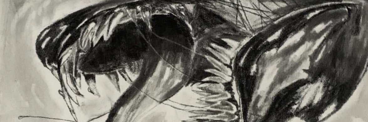 _BOSS____'s profile banner image