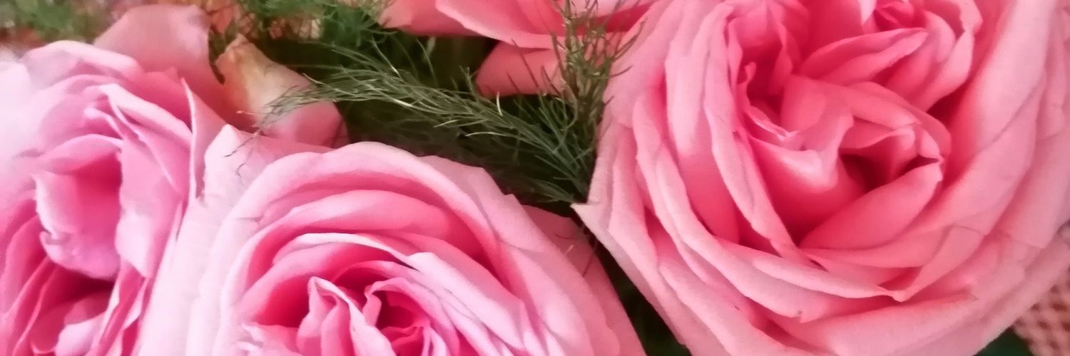 cebranat's profile banner image