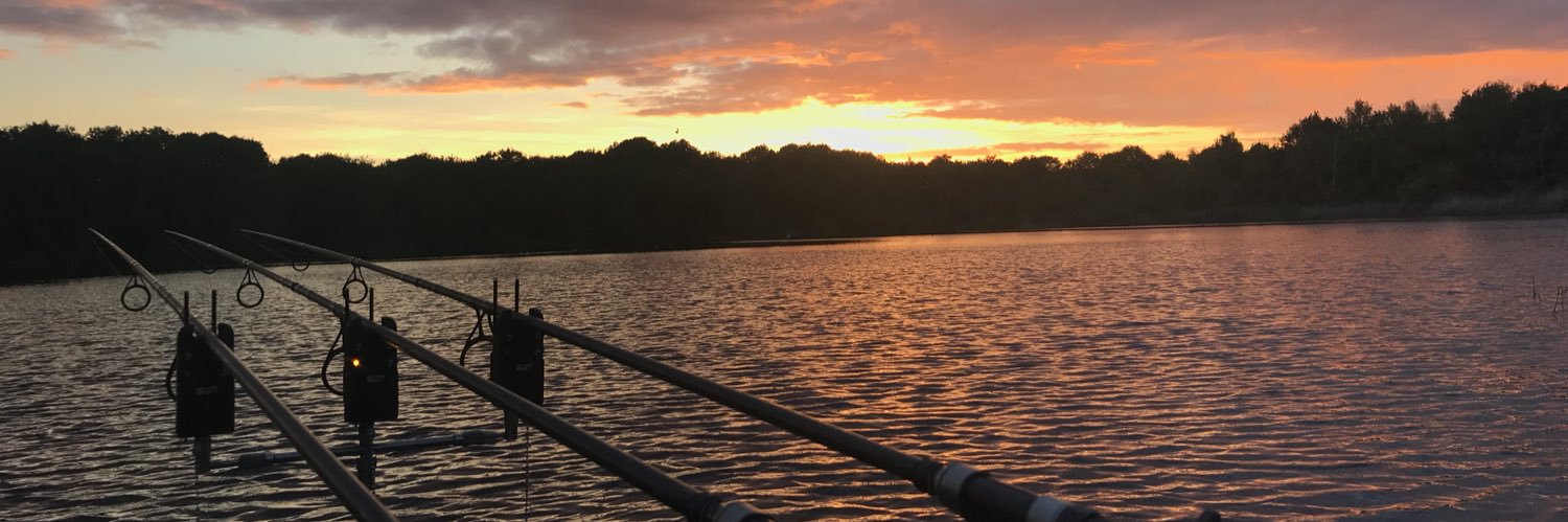 rossy_1977's profile banner image