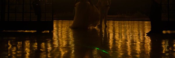 sibaphiwe Profile Banner