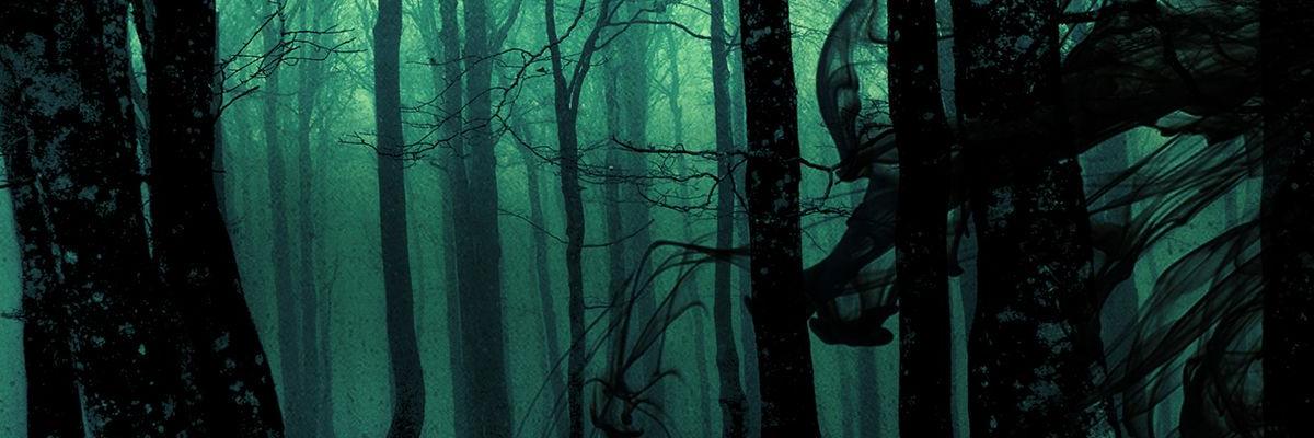 skatedawe1's profile banner image