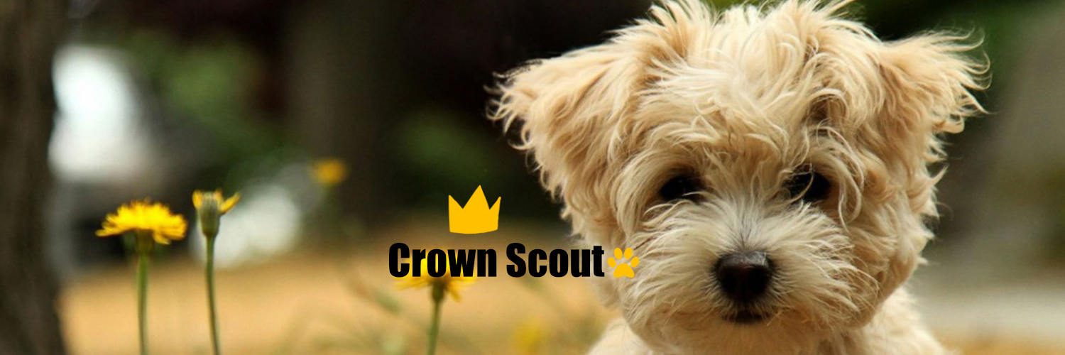 Crown Scout banner