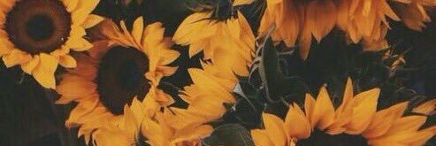 DiONxAxNDREWS's profile banner image