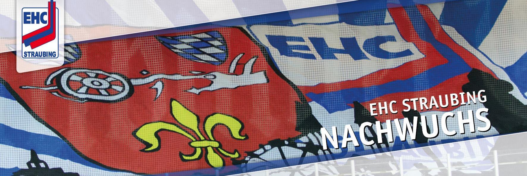 EHCStraubing's profile banner image