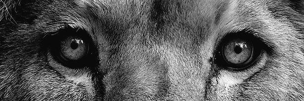 trip47_'s profile banner image