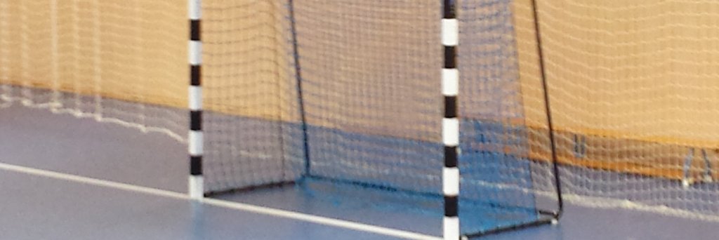 BLI_Handball's profile banner image