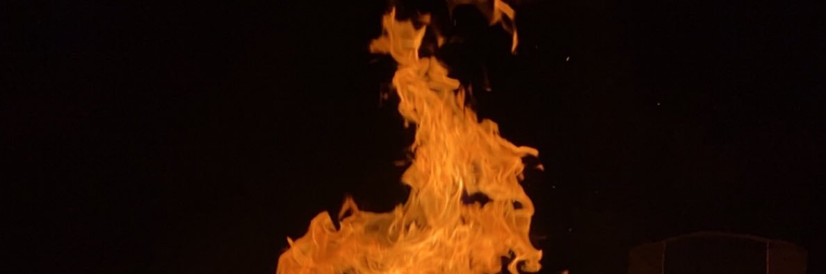 greenedog3's profile banner image