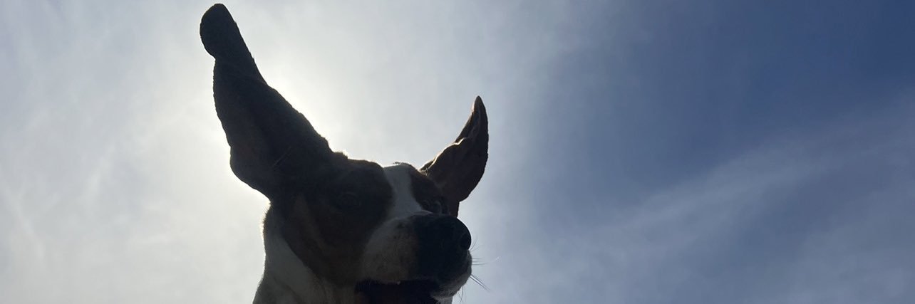 rodriguezbry7's profile banner image