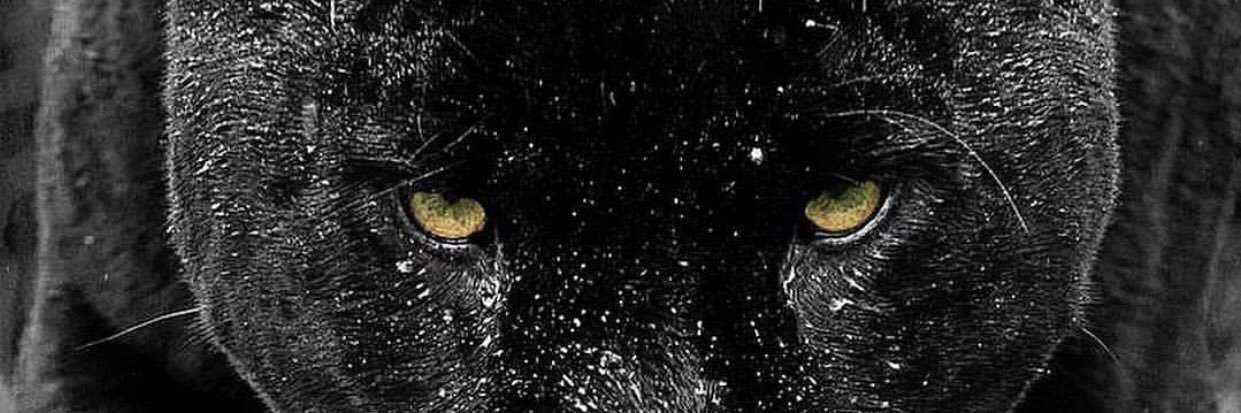 soner_sevik's profile banner image