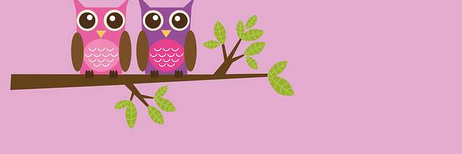 Pizzazz Book Promo banner