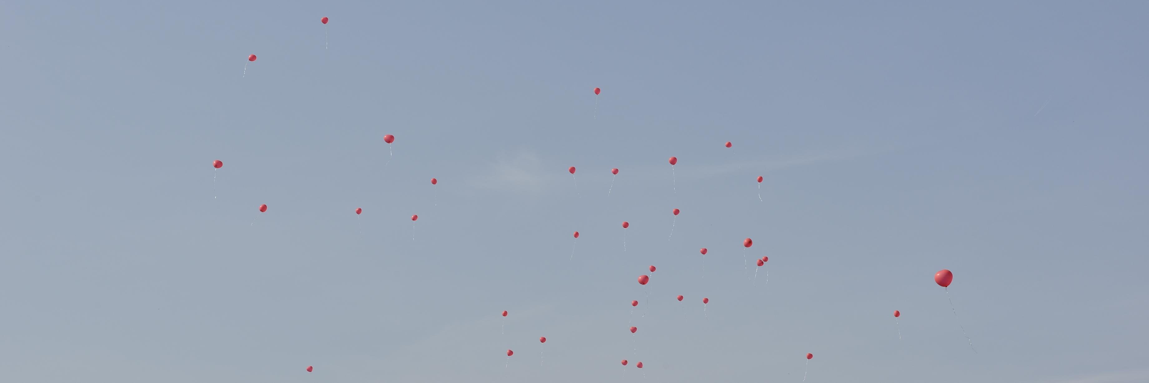 jenniU84's profile banner image