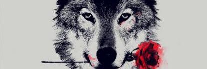 switchlonewolf's profile banner image