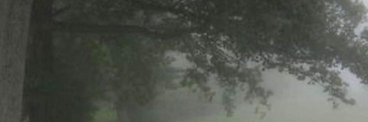 eksekussi's profile banner image