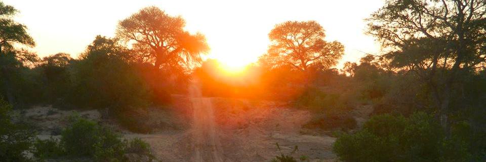 jleec2's profile banner image