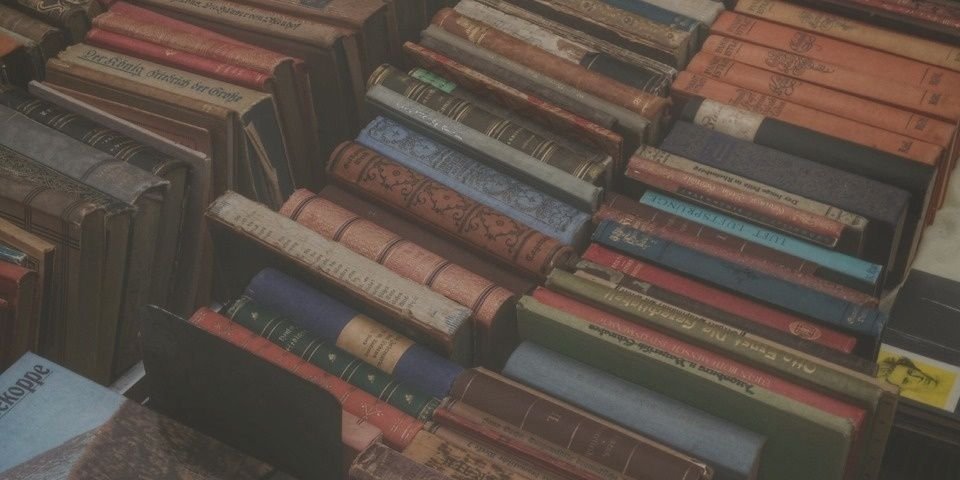 janausre's profile banner image