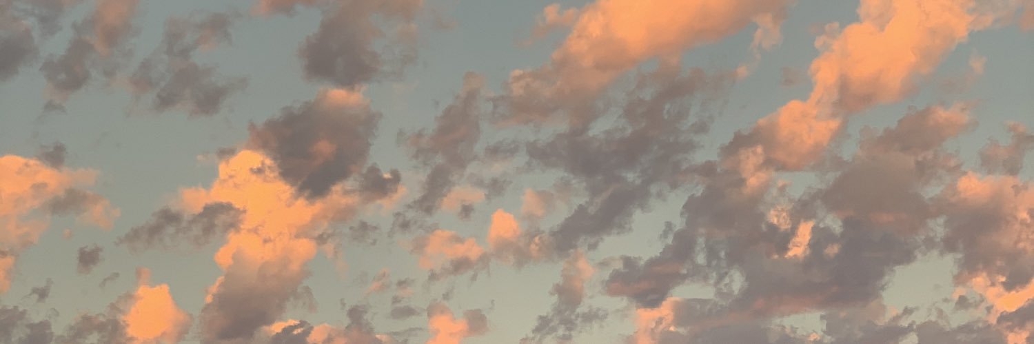 famousmckingbrd's profile banner image