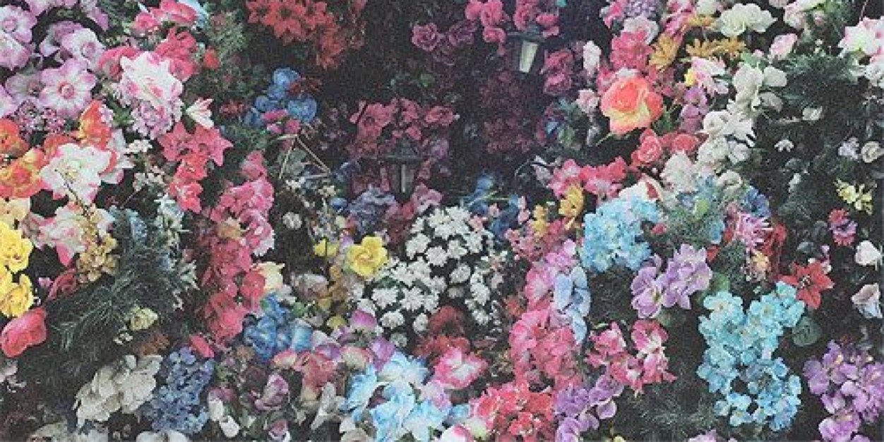 __sheselectric's profile banner image