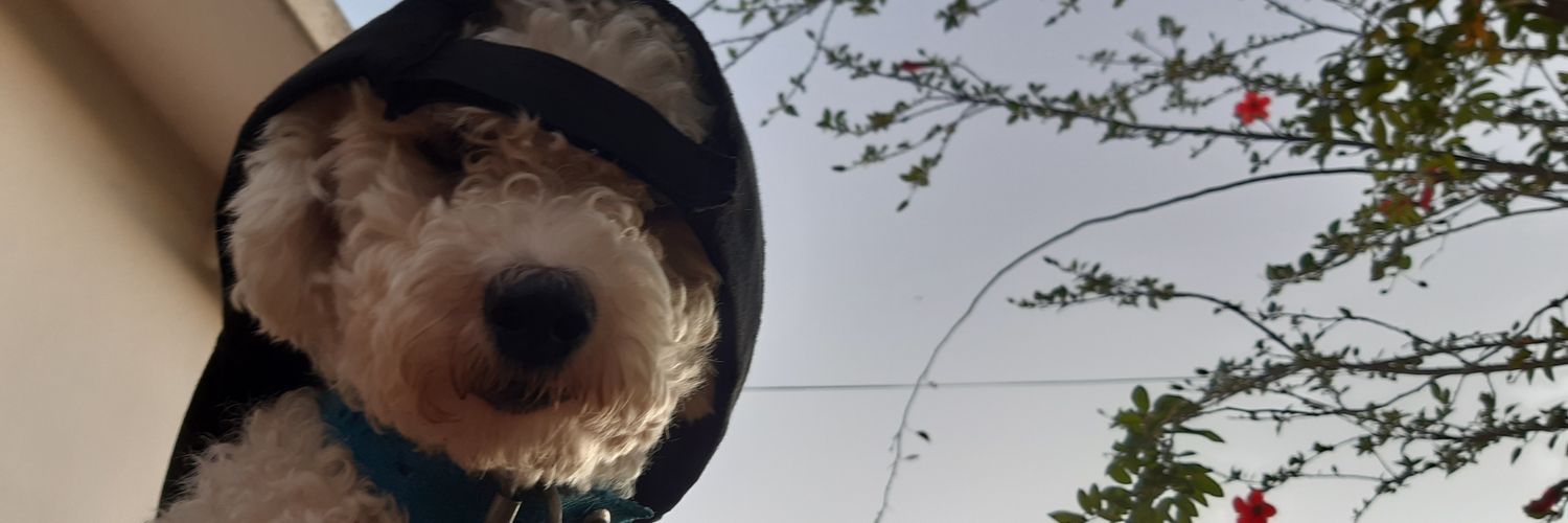 cinthymachado's profile banner image
