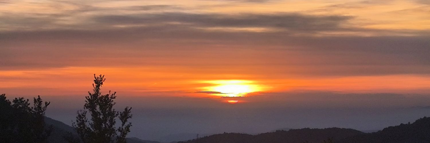 ACERassociacio's profile banner image