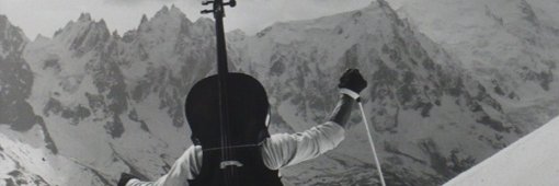 Nemotte's profile banner image