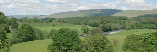 RDM_Marketing Profile Banner