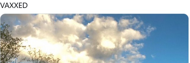 Divinity11's profile banner image