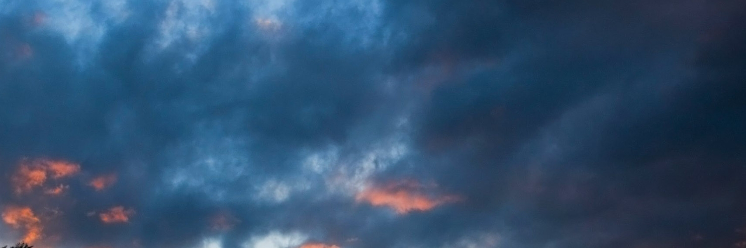 davidanibibev's profile banner image