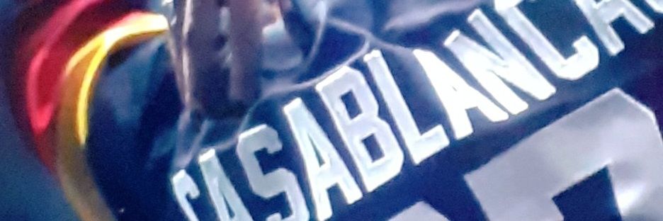 Bumblebeee banner