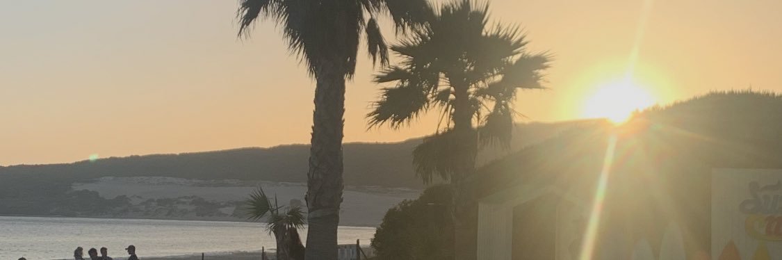 sofiacuffaro_'s profile banner image