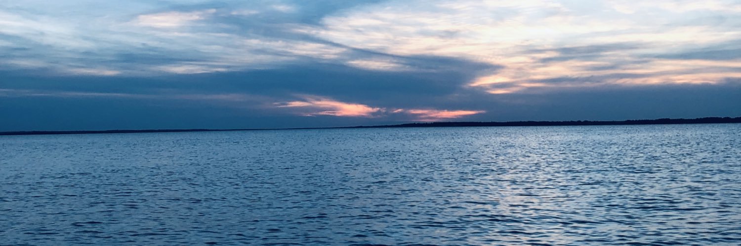 Alaina Schoone banner