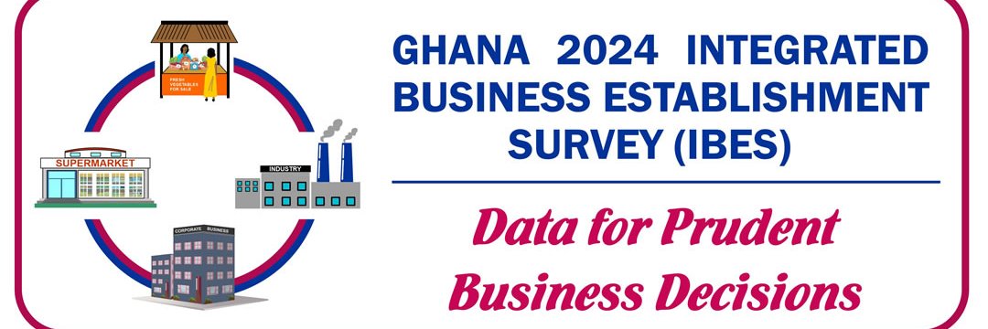 Ghana Statistical Service banner