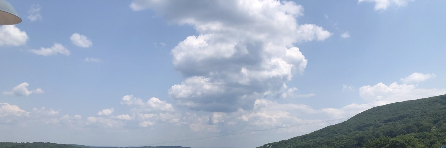 poulpatchueli's profile banner image