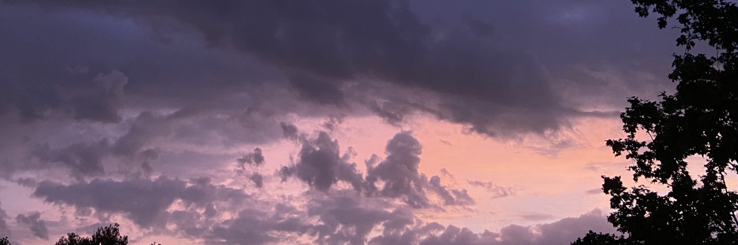 paulibusta's profile banner image