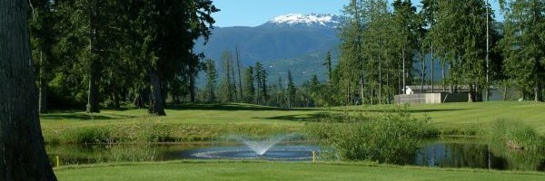 ArrowsmithGolf's profile banner image
