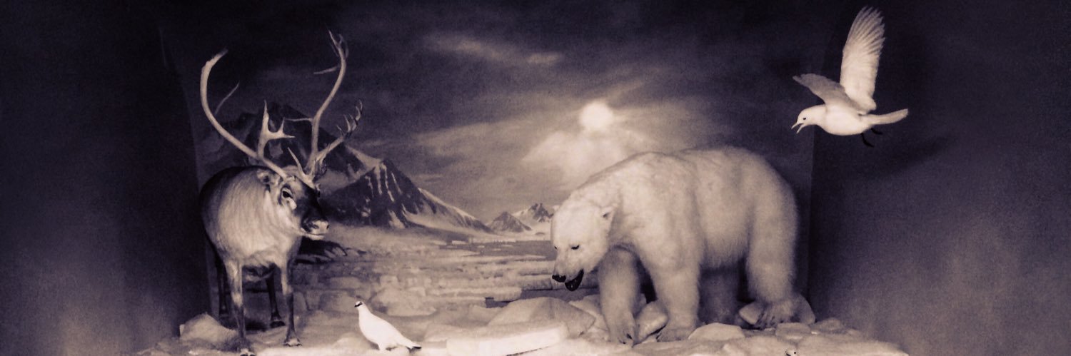 Jay Surdukowski banner