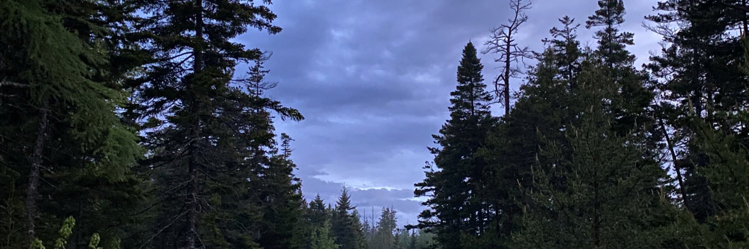 Jonathan (Living Room Seagull) banner