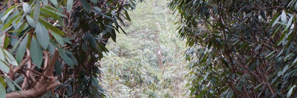 GoHikeGo's profile banner image
