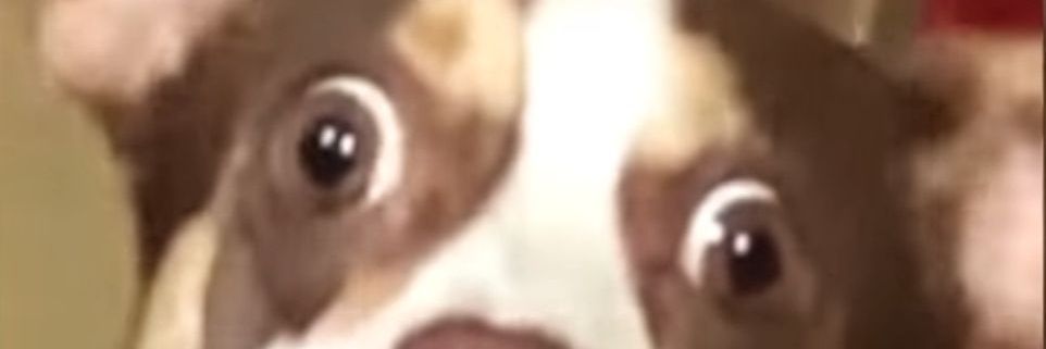 abbyswheel's profile banner image