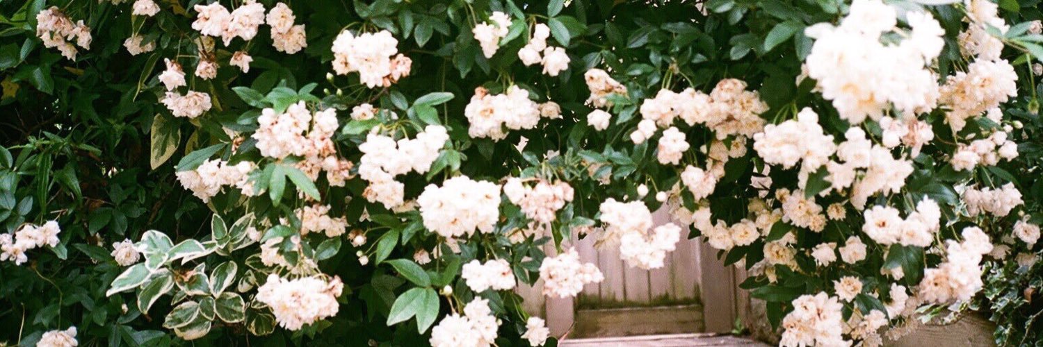_____88rm's profile banner image